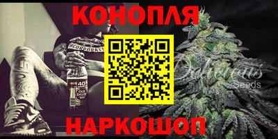 a pvp Брянск