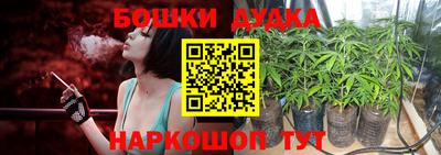 a pvp Брянск
