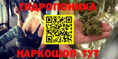 прущая мука Братск