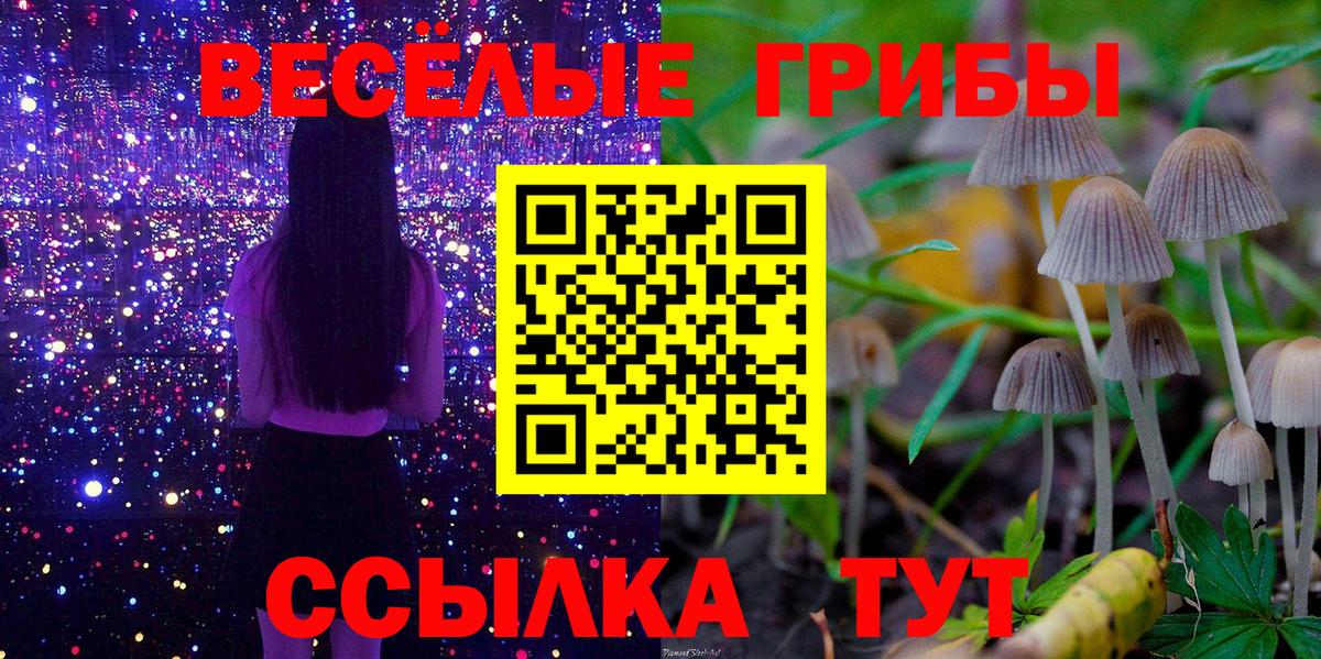 Галлюциногенные грибы мухоморы Белебей